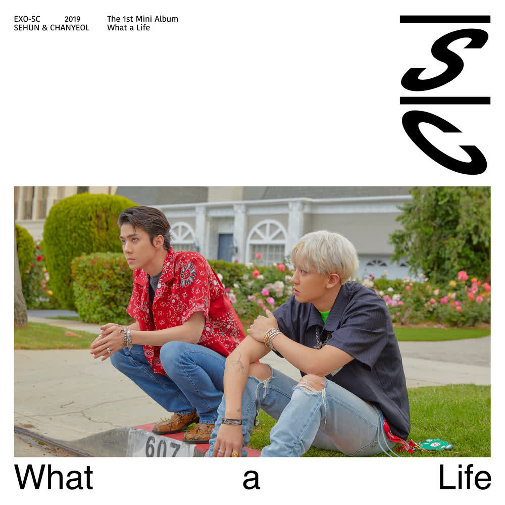 What a life by EXO-SC