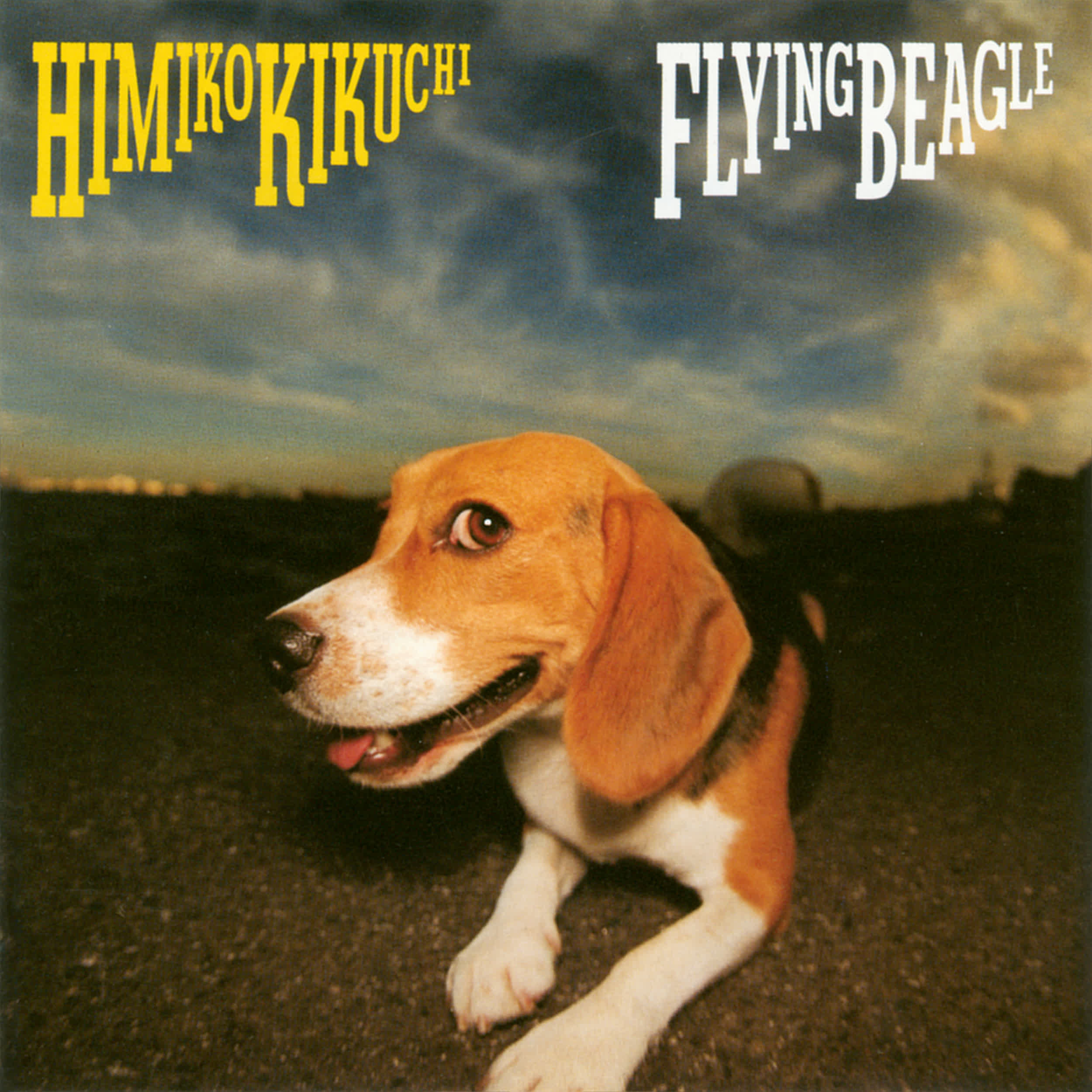 FLYING BEAGLE