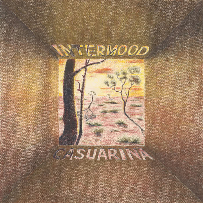 Casuarina