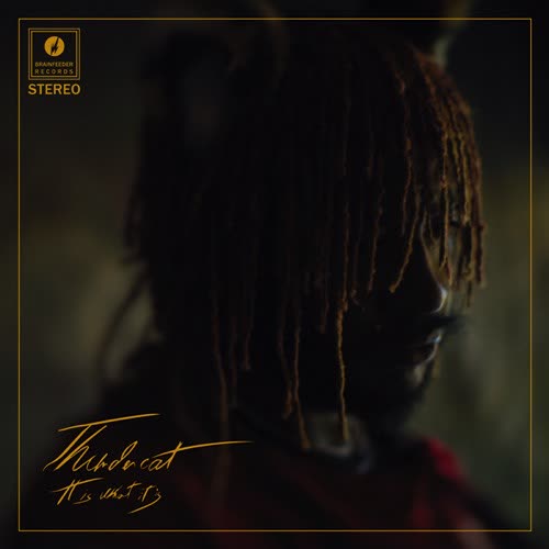 It Is What It Is by Thundercat