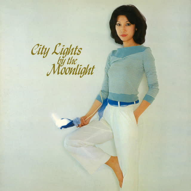 City Lights by the Moonlight by Tomoko Soryo (惣領智子)