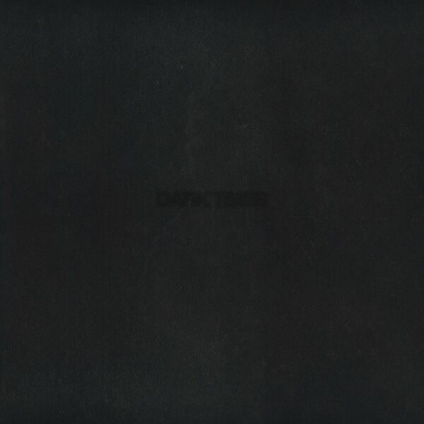 Dark Times by Vince Staples