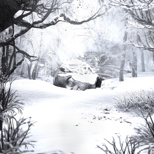 SZNZ: Winter